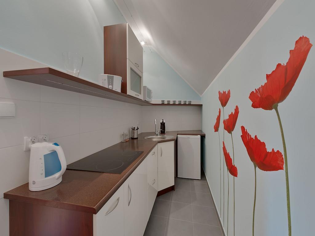 Beauty Of Krakow Apartment Cameră foto